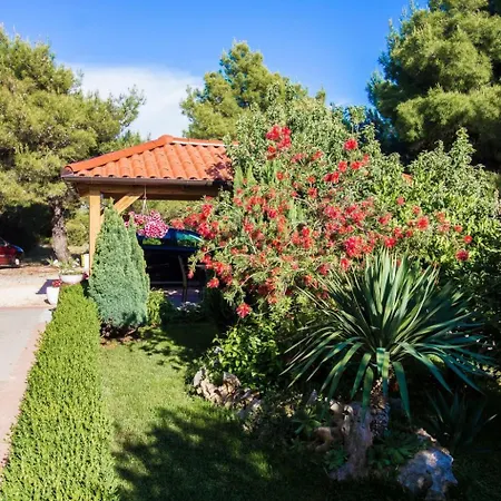 Apartment Apartmani Vesna Grebastica By Interhome 公寓 *