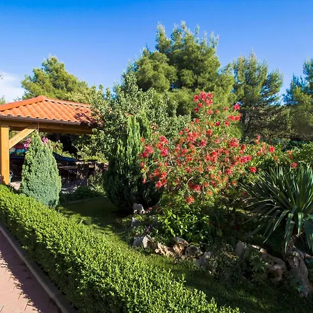 Apartment Apartmani Vesna Grebastica By Interhome