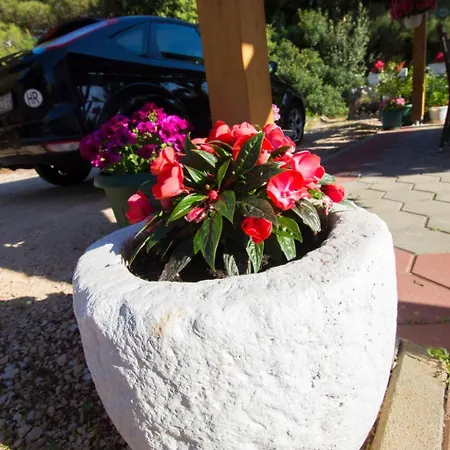 Appartement Apartment Apartmani Vesna Grebastica By Interhome