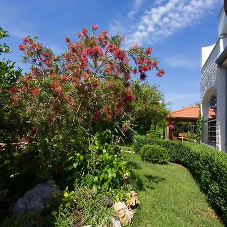 Appartement Apartment Apartmani Vesna Grebastica By Interhome *