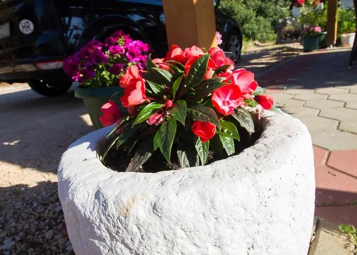 Apartment Apartment Apartmani Vesna Grebastica By Interhome