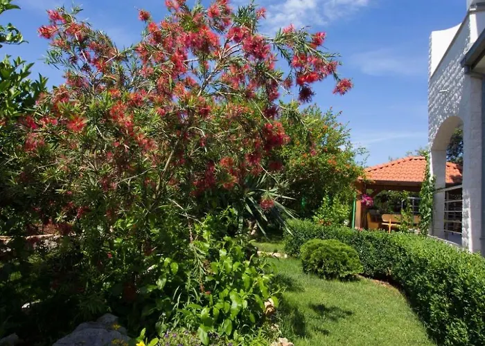 Appartement Apartment Apartmani Vesna Grebastica By Interhome *